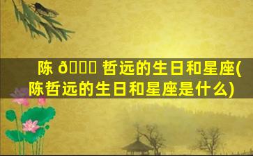 陈 🐘 哲远的生日和星座(陈哲远的生日和星座是什么)